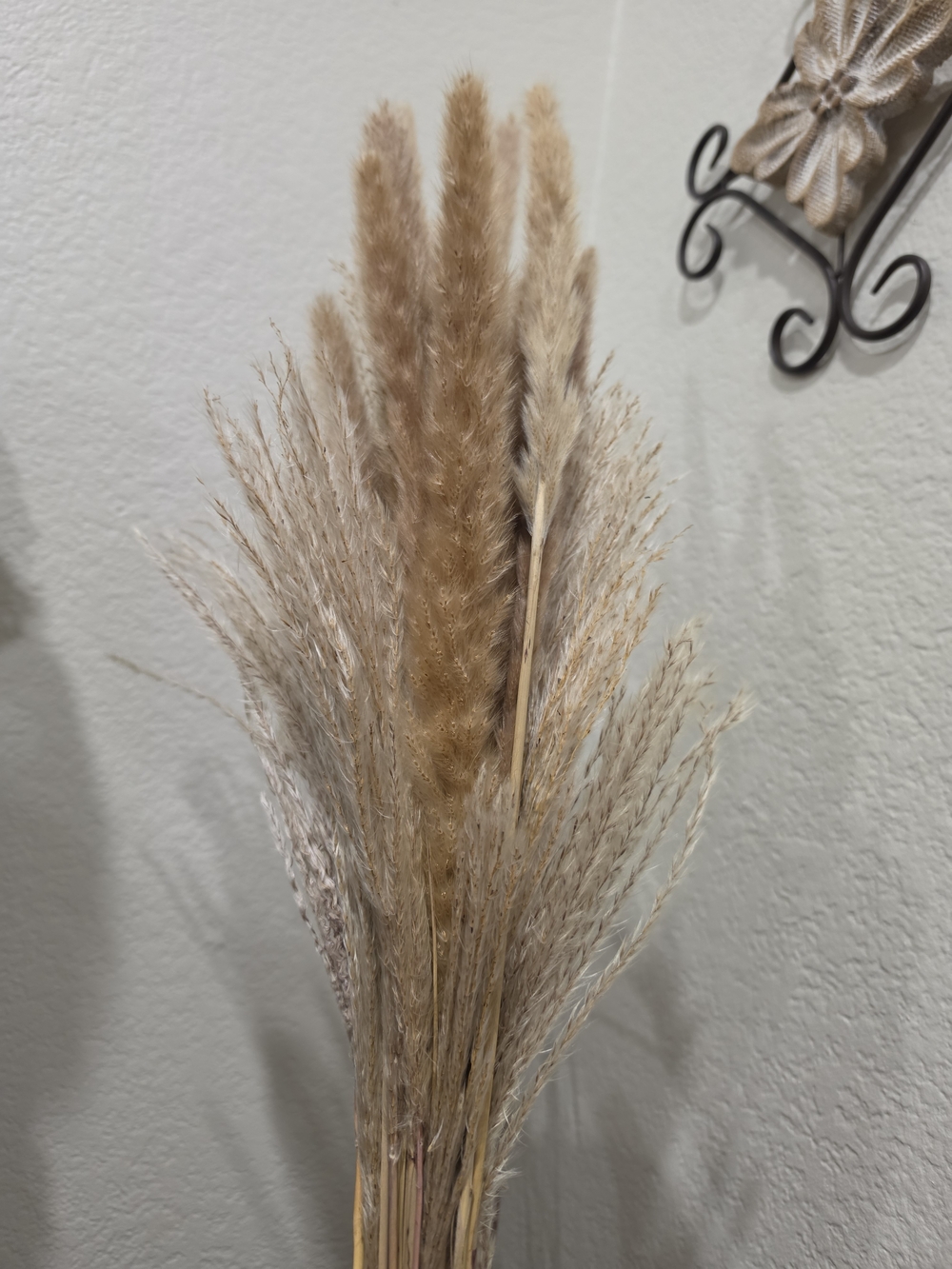 Neutral Beige Pampas & Dried Grass Bundle
